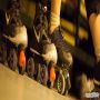 20141218_22-15-33__MG_4456